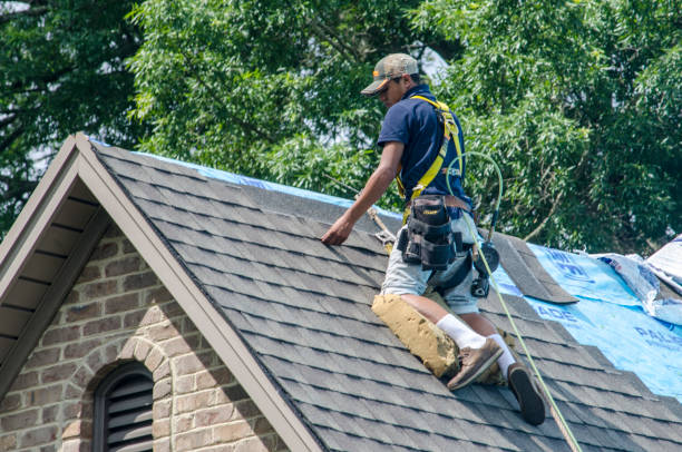 Professional Roofing Contractor in Indian River, MI